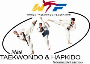 mate_taekwondo