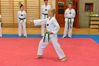 20180706taekwondo_ovvizsga (108)