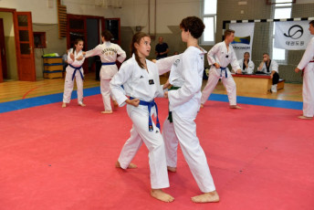 20180706taekwondo_ovvizsga (382)