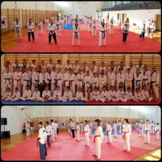 201808612_taekwondo_edzotabor_battonya (1)
