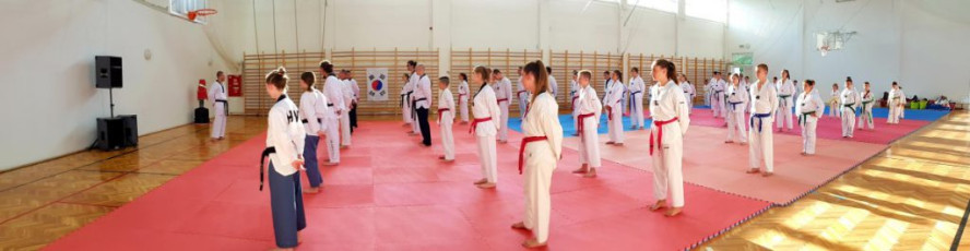 201808612_taekwondo_edzotabor_battonya (3)