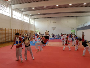 201808612_taekwondo_edzotabor_battonya (67)
