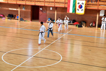 20180929_u_chong_taekwondo (15)