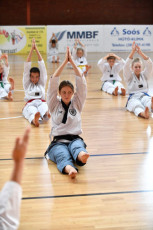20180929_u_chong_taekwondo (33)