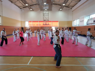 20180414_taekwondo_seminar (1)