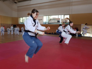 20180414_taekwondo_seminar (11)
