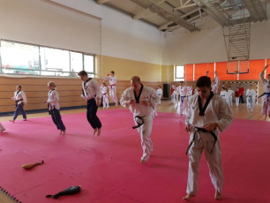 20180414_taekwondo_seminar (12)