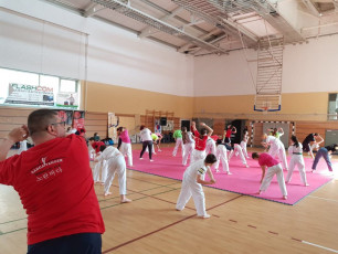 20180414_taekwondo_seminar (14)