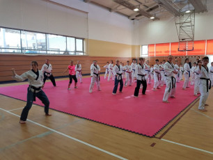 20180414_taekwondo_seminar (2)