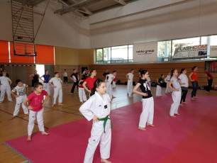 20180414_taekwondo_seminar (4)