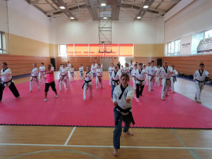 20180414_taekwondo_seminar (5)