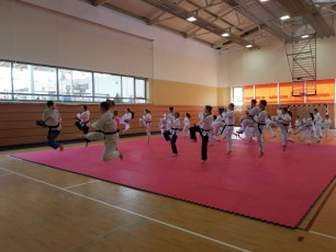 20180414_taekwondo_seminar (8)