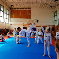 20180422_taekwondo_seminar (1)