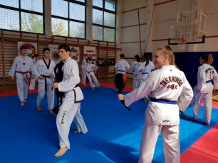 20180422_taekwondo_seminar (13)