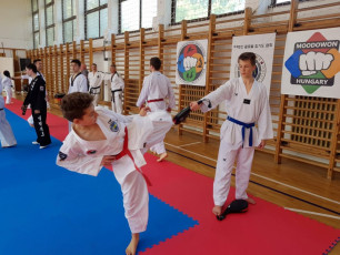 20180422_taekwondo_seminar (16)