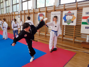 20180422_taekwondo_seminar (17)
