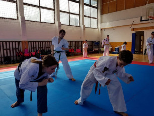 20180422_taekwondo_seminar (19)
