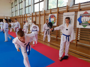 20180422_taekwondo_seminar (20)