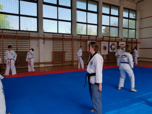20180422_taekwondo_seminar (21)