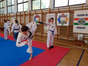 20180422_taekwondo_seminar (4)