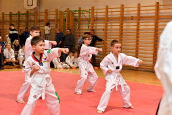 20181219_taekwondo_ovvizsga (191)