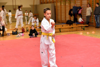 20181219_taekwondo_ovvizsga (333)