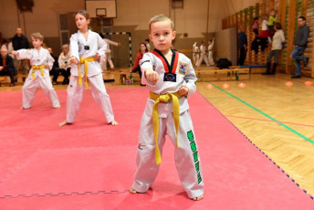 20181219_taekwondo_ovvizsga (341)