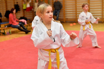 20181219_taekwondo_ovvizsga (351)